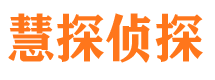 红山市侦探调查公司